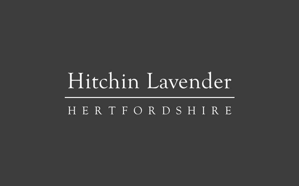 Hitchin Lavender logo